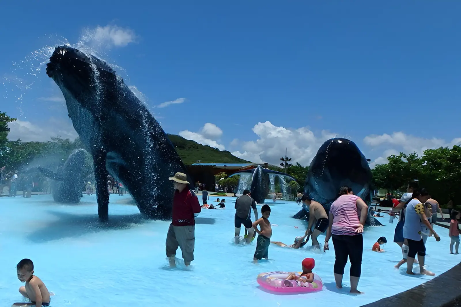 海生館戲水廣場的鯨魚造景與親子戲水場景